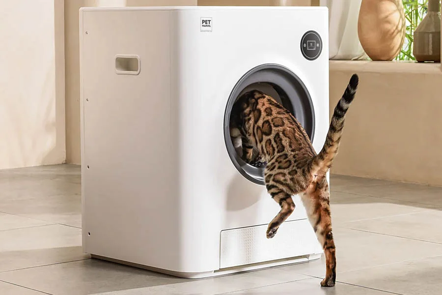 self cleaning cat litter boxes for multiple cats